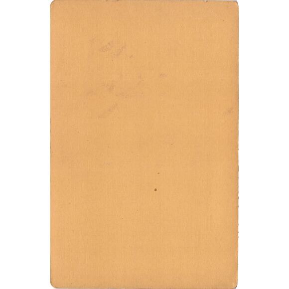 Antique 1800s Cabinet Card Photo Bearded Gentleman Meyerhuber Adrian Michigan - Picture 2 of 2